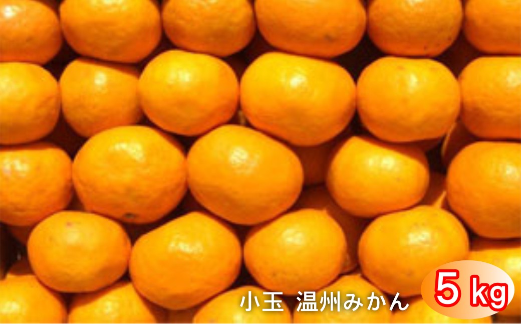 
                  太良町 山本農園の「小玉 温州みかん（一口みかん）」 5kg
                