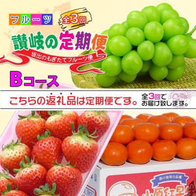 ふるさと納税 坂出市 【発送月固定定期便】創業100年の老舗が選んだ讃岐のフルーツの定期便【Bコース3回】全3回