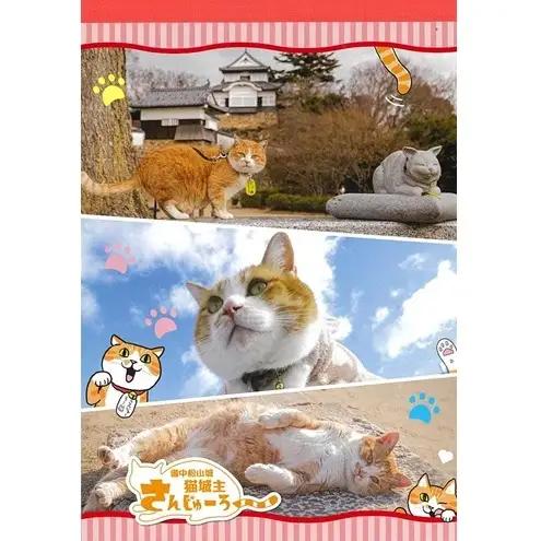 さんじゅーろーグッズセット 雑貨 文房具 小物 詰め合わせ ネコ 実写 猫城主 ポストカード メモ帳 A6 サイズ ピンバッヂ ラバー キーホルダー 