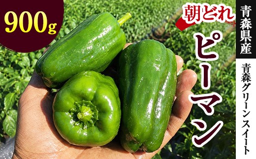ピーマン 青森グリーンスイート 900g 【南部宝園】 高糖度 朝どれ 野菜 AOMORI AGRI BASE 青森県 南部町 F21U-740