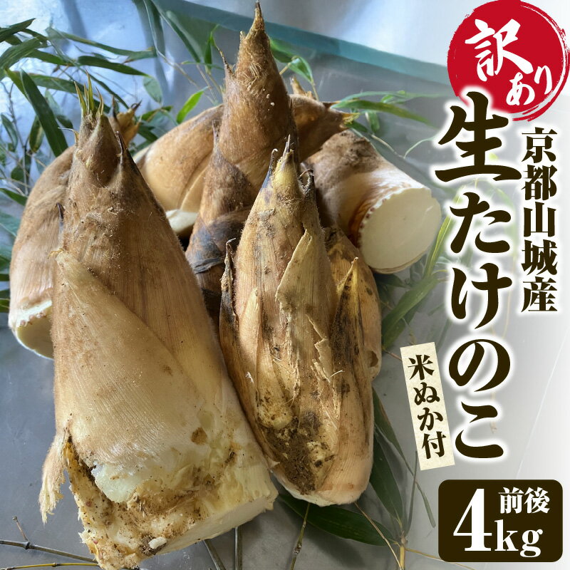【ふるさと納税】 京都山城産生たけのこ （訳あり・ご家庭用） 4kg前後 たけのこ 柔らかい 白子たけのこ 朝堀たけのこ 訳あり 家庭用 料理 希少 厳選 農家直送 春限定 冷蔵便 生たけのこ 野菜