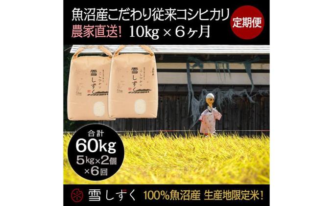 【令和6年産】定期便！魚沼産こだわり従来コシヒカリ【合計60kg】毎月10kg×6回