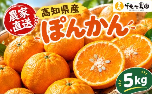 千光士農園のポンカン 5kg 【令和9年1月より発送開始】 新鮮 みかん mikan 密柑 ぽんかん 甘味 甘い 先行予約 果物 くだもの フルーツ 柑橘 産地直送 農家直送 数量限定 国産 高知県 高知県安芸市 AY013