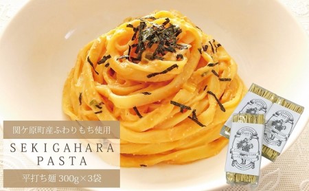 パスタ 関ケ原パスタ ふわりもち使用 平打ち麺 関ケ原町産 パスタ【900g(300g×3袋)】