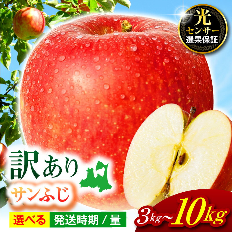 【ふるさと納税】 ★レビュー高評価★ 【先行受付】【 訳あり 2026年 】 サンふじ りんご (選べる : 3kg 5kg 10kg / 11月～3月) | 青森 りんご 不揃い 果物 フルーツ リンゴ 林檎 ふじ サンふじりんご 青森県 11月 12月 1月 2月 3月 青森県 五所川原市