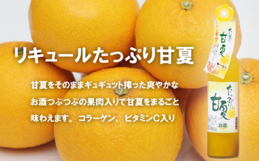 C115a 炭酸割りがGOOD!果肉入フルーツリキュール6種6本