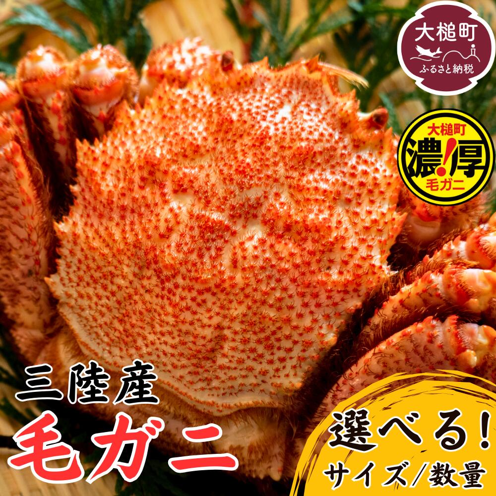 【ふるさと納税】【令和8年発送】三陸産 活毛ガニ 約250g～500g 選べるサイズ/数量【2026年3月〜4月発送先行予約】毛がに 蟹 カニ 三陸 活ガニ 活がに 活蟹 毛蟹 海鮮 魚介 かにみそ 贅沢 海鮮 寿司 ちらし がに ガニ 毛蟹 濃厚