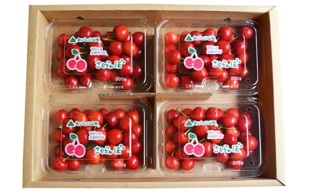 山形のさくらんぼ 紅てまり 約800g Lサイズ以上(200g×4) 【令和6年産先行予約】FU22-058
