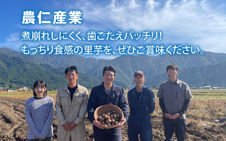 【訳あり】【年内発送】 上庄里芋発祥の地 五條方の里芋 Ｓサイズ土付（秀・優）混合5kg