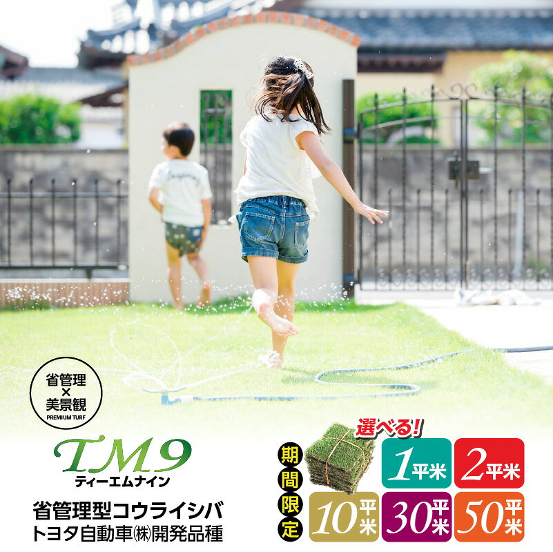【ふるさと納税】【期間限定】＜選べる＞ TM9 ティーエムナイン 省管理型コウライシバ トヨタ自動車(株) 開発品種 1平米 〜 50平米 芝生 芝 天然 庭 高品質 期間限定 限定 お手入れ ガーデニング DIY ハヤシ 鹿児島 鹿屋市 おすすめ ランキング プレゼント ギフト