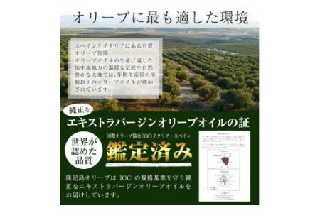 No.005-A ＜イタリア産＆スペイン産＞オリーブオイルセット(180g×2本) 日置市 特産品 調味料 油 エキストラバージン オリーブオイルセット オリーブ セット エキストラバージン ガーリッ