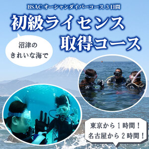 ダイビングライセンス BSAC オーシャンダイバーコース ダイビング