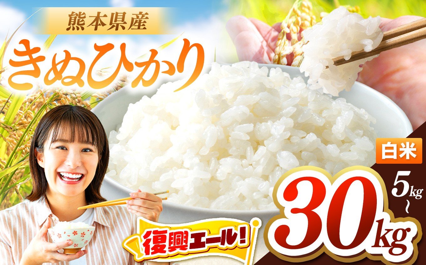 
                  令和7年産 きぬひかり 選べる 容量 5kg 10kg 20kg 30kg | お米 米 こめ おこめ 精米 キヌヒカリ 5キロ 国産 国産米 くまもと 熊本 熊本県 玉名市 玉名
                