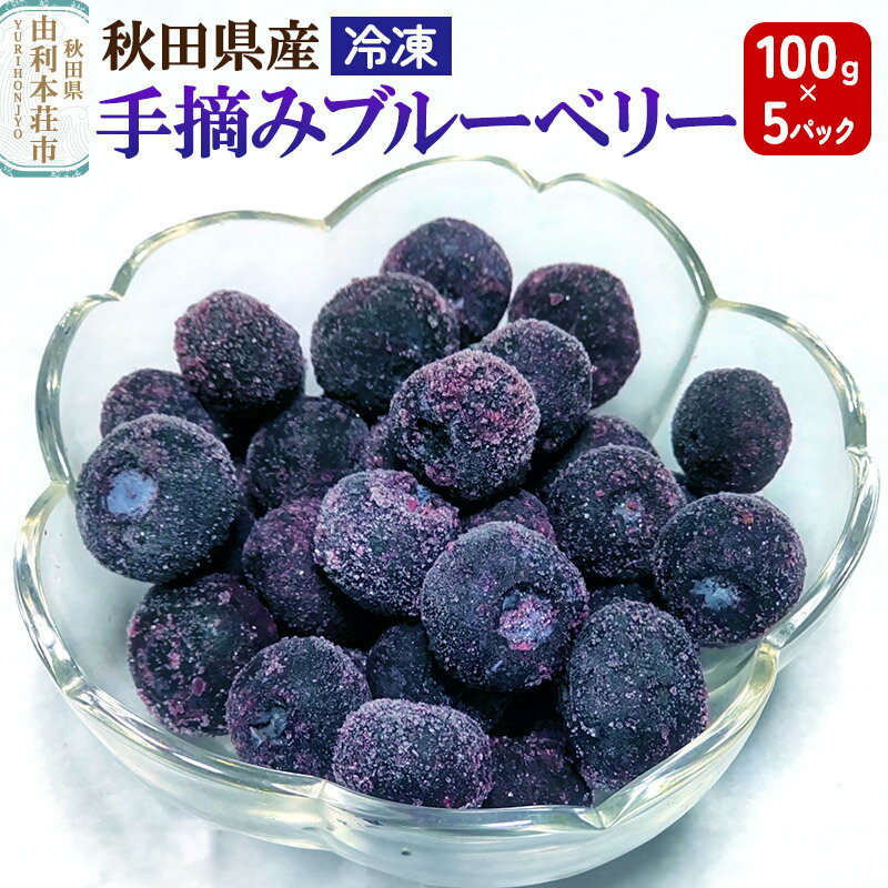 【ふるさと納税】秋田県産 手摘み冷凍ブルーベリー 100g×5パック