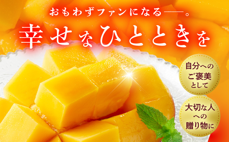 宮崎県産 完熟マンゴー 2玉 3L