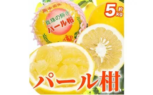 【2027年1月下旬～2月下旬迄発送予定】パール柑 文旦 6 ～ 18玉 約5kg 柑橘類 柑橘系 柑橘 果物 くだもの フルーツ 果実 果汁 果肉 甘み 酸味 ジューシー 国産 熊本県産