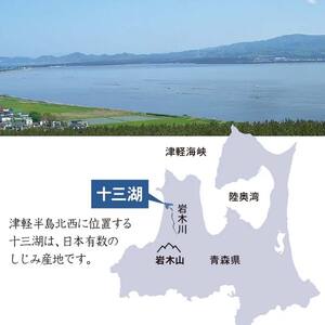 青森県 十三湖産 冷凍しじみ  （中粒・冷凍） 約1.8kg 【小野や】 F6N-031