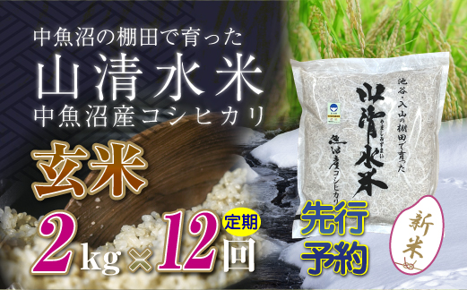 【先行新米予約】【定期便／全12回】玄米2kg　新潟県魚沼産コシヒカリ「山清水米」十日町市 米