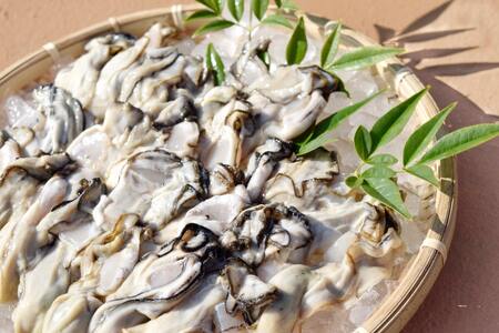 むき身 地秀かき 生食用 500g ×2袋 [かみたいら 宮城県 気仙沼市 20564232]