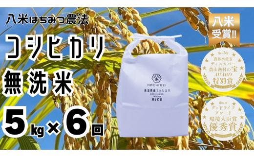 【令和8年産新米予約】【環境大臣賞受賞】【特別賞受賞】6ヶ月定期便 無洗米 コシヒカリ 5kg×6回 計30kg 農家直送 ほんのり甘い「はちみつ農法」 白米 精米 HACHIBEI 八米  新米 新米予約 令和８年度産 10月中旬より順次発送 1L14079