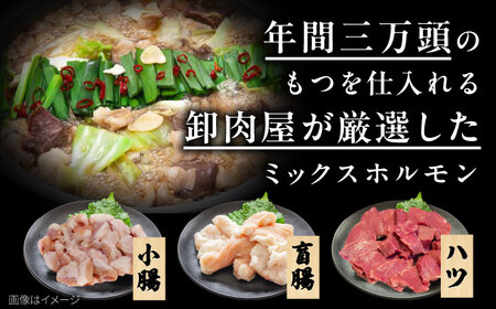 「上田商店」工場直販 もつ鍋(醤油・白味噌/各4-5人前)[BGAD058]