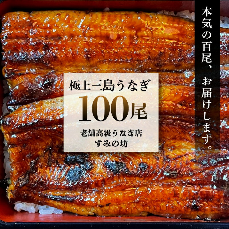 【ふるさと納税】＼100尾!!／老舗高級うなぎ店が本気でお届けする極上蒲焼き！ 国産 うなぎ 鰻 職人 手焼き 炭火焼き 大容量 大人数 パーティ お祝い 集会 納会 総会 忘年会 ご馳走 ギフト プレゼント 贈答用 ウナギ unagi すみの坊 三島うなぎ 三嶋うなぎ 静岡県 三島市