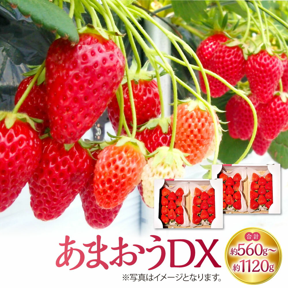 【ふるさと納税】あまおうDX 合計 約560g もしくは 合計 約1,120g 1パック 約280g いちご あまおう 苺 イチゴ ストロベリー フルーツ 果物 冷蔵 福岡県 岡垣町 送料無料 【2026年2月上旬～4月上旬発送予定】