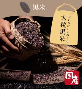 定期便 6ヶ月 ご飯パック 金賞 健康米 玄米・黒米 120g×12個入り ごはん パック ご飯 パックライス