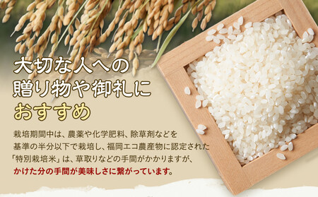 【特別栽培米】久保山百年米-無洗米(2kg×3袋)計6kg