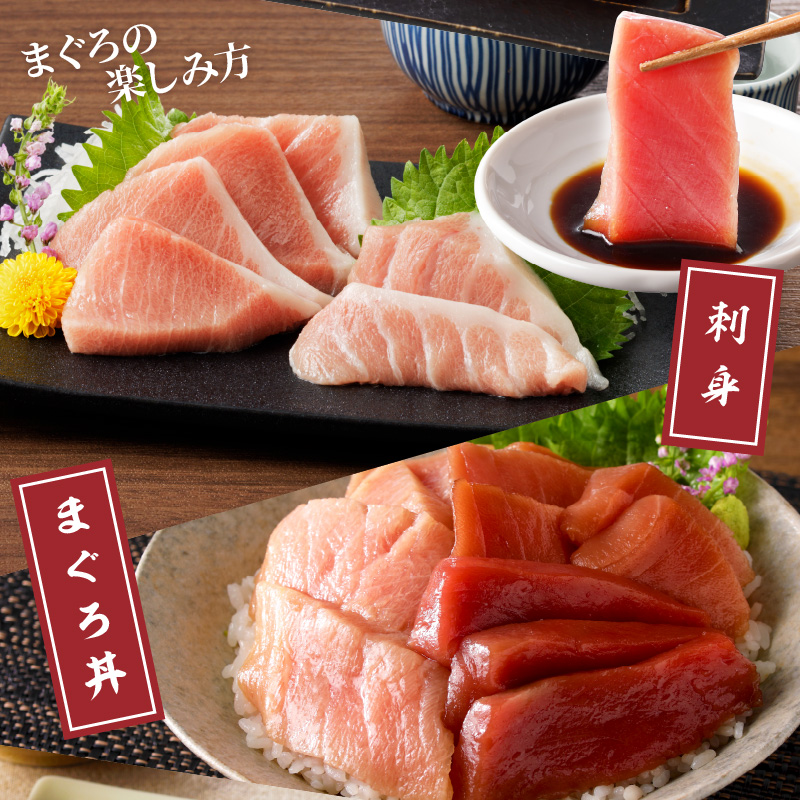 鷹島産本まぐろ柵(赤身・中トロ・大トロ) 合わせて1000g( マグロ まぐろ 赤身 中トロ 大トロ 本まぐろ 手軽 おつまみ 柵 流水解凍 )【E2-014】