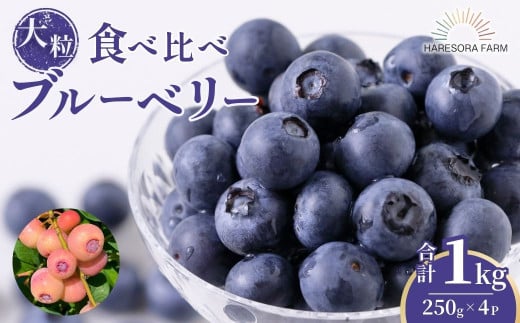 【2025年 先行予約】生食 ブルーベリー 食べ比べ 250g×4パック 1kg | 数量限定 先行予約 ブルーベリー 果物 くだもの フルーツ 季節限定 ベリー 産地直送 限定品 生食 ギフト 贈り物 健康 埼玉県 久喜市