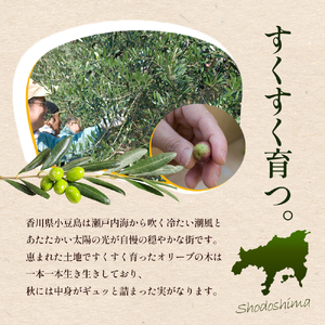 【 小豆島 】100％ 小豆島産 エキストラバージン オリーブオイル 91g4本セット 油 オリーブ油 食用油 調味料 オリーブ オイル ヘルシー 健康 手摘み 手作り 香川 香川県 土庄 土庄町