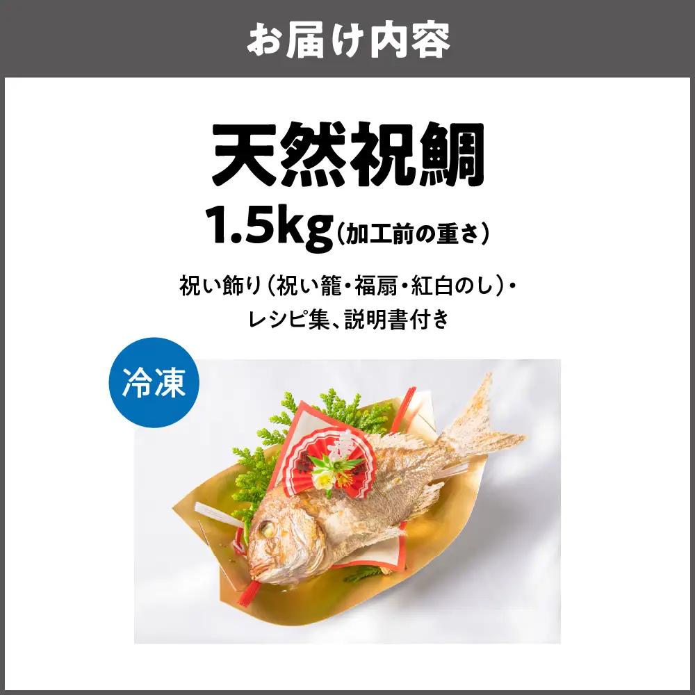 【商店街逸品】天然祝鯛 炭火焼 1.5kgアップ_OS389-0001-02