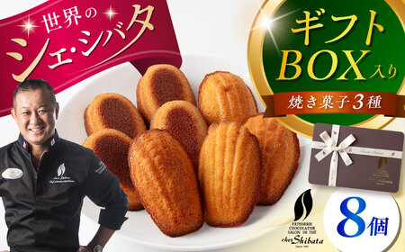 焼き菓子 詰め合わせ 8個入 多治見市 / シェ・シバタ スイーツ ギフト 焼き菓子 ヴィジタンティーヌ マドレーヌ[TDH008]