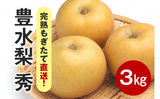 【先行販売/9月上旬から発送】豊水 梨 秀 3kg 5～8個入 (アカツファーム)  ナシ なし 豊水梨 ギフト 贈答用 秀品 産地 茨城  笠間  完熟 甘い 秋 旬 果物 フルーツ 果汁 新鮮 デザート くだもの ジューシー 秋の味覚 旬の果物 産地直送 茨城県 笠間市