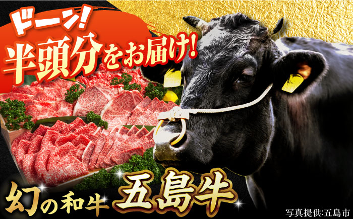 
            五島牛 半頭分 牛肉 国産 和牛 大容量 ブランド牛 冷凍 五島市 / ごとう農業協同組合 [PAF023]
          