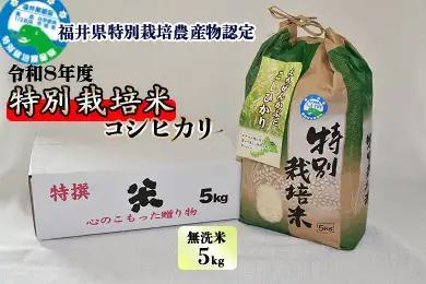 【先行予約】令和8年産 特別栽培米コシヒカリ 5kg×1袋（無洗米） 【2026年9月29日より順次発送】 [A-005011]