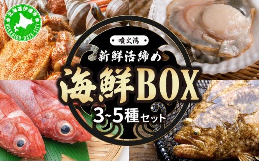 
[№5525-0786]北海道 伊達　噴火湾 水揚げ 今野水産 新鮮 活締め 海鮮 BOX 3～5種セット
