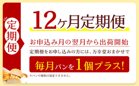 【12ヶ月定期便】パン メロンパン 冷凍 プレーン 6個 手土産 おすそ分け スイーツ パン ギフト 菓子パン 万幸堂 《お申し込み月の翌月から出荷開始》熊本県 荒尾市 送料無料 ベーカリー おやつ 