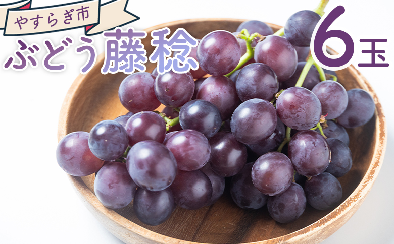 ぶどう 藤稔 6P - 国産 果物 くだもの 青果 フルーツ 葡萄 ブドウ グレープ ジューシー デザート やすらぎ市 高知県 香南市 冷蔵 yr-0100