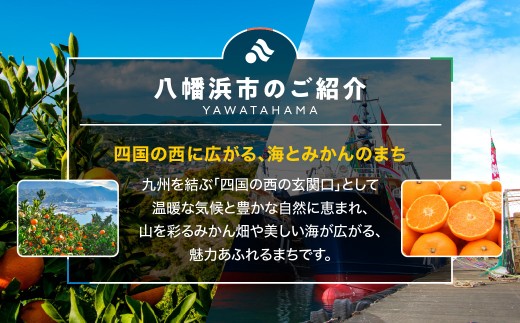 2021ダルメイン世界マーマレード大会受賞作品セット「天空のマーマレード・星空の夢」＜C46-4＞_ジャム マーマレード 柑橘 せとか まどんな ブラッドオレンジ 素材 ダルメイン 金賞 自然 詰合せ