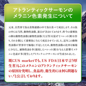 【ふるさと納税】【年内お届け】【訳あり】　骨取りサーモン切身【甲羅組 鮭 銀鮭 訳あり 人気 年末配送 】