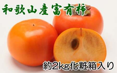 ［厳選・産直］和歌山産の富有柿約2kg（化粧箱入り）（2L～4Lサイズ）【2026年発送】【tec406B】