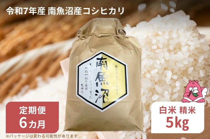 
            令和7年産 6か月定期便 【白米5㎏/6回】越後湯沢産 南魚沼産 コシヒカリ 豪雪を源とする水の恵み【湯沢産 コシヒカリ】
          