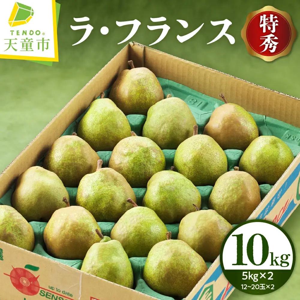 ラフランス 10kg フルーツ 山形 洋梨 ラ・フランス