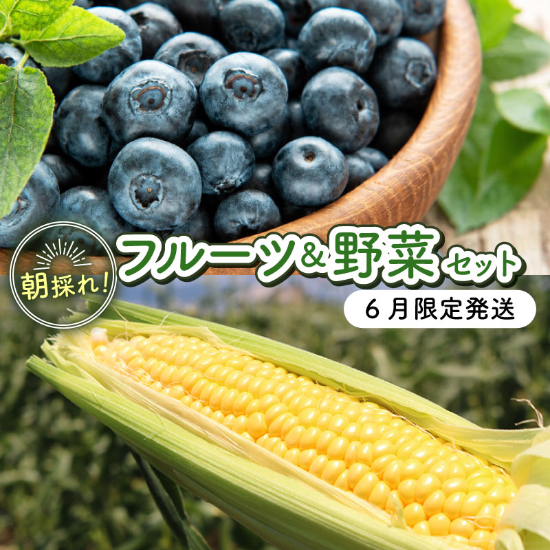 【ふるさと納税】 農家直送 完熟 生ブルーベリー 300g スイートコーン 3本 セット サザンハイブッシュ系 ラビットアイ系 とうもろこし 2027年発送 早期予約 土佐ひらやま農園 冷蔵 フルーツ 果物 くだもの 野菜 食品 人気 美容 おすすめ 期間限定 数量限定 高知県 南国市