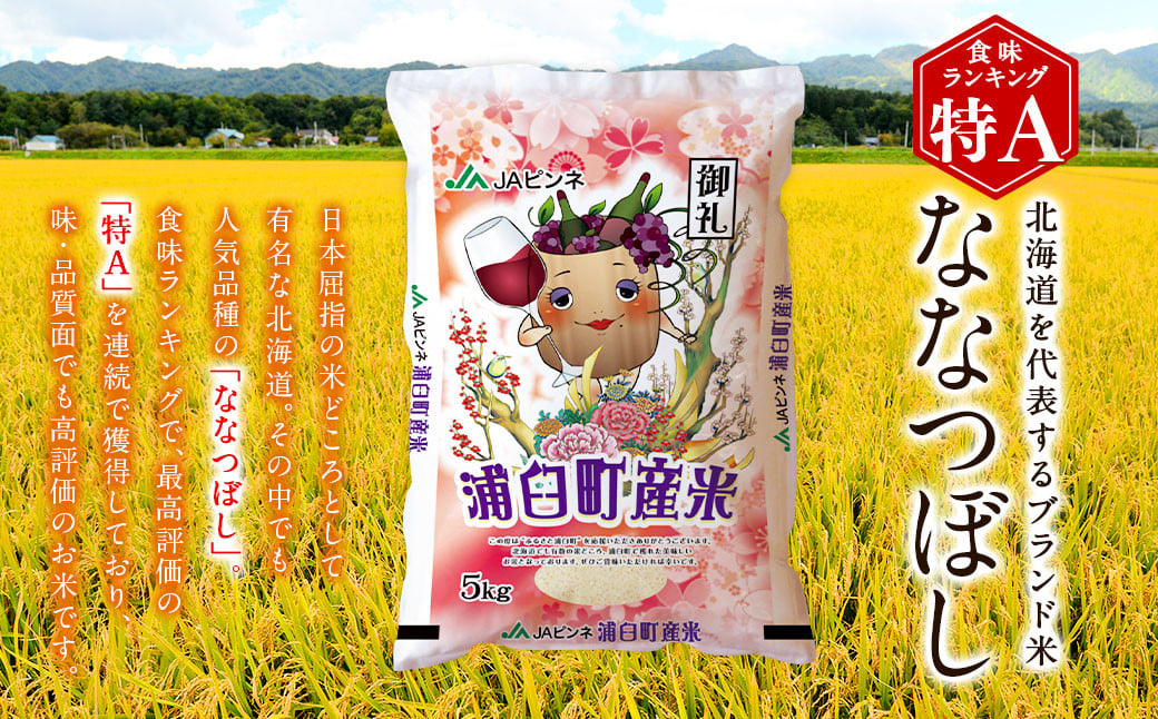 〈令和7年産〉浦臼産 ななつぼし 精白米 10kg （5kg×2袋） 