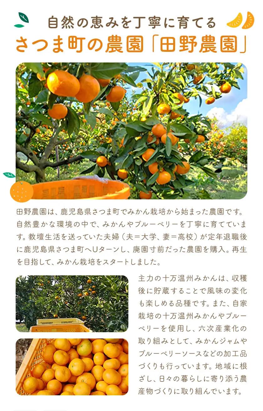 十万みかん シロップ漬け 170g 4本 田野農園《30日以内に出荷予定(土日祝除く)》鹿児島県 さつま町