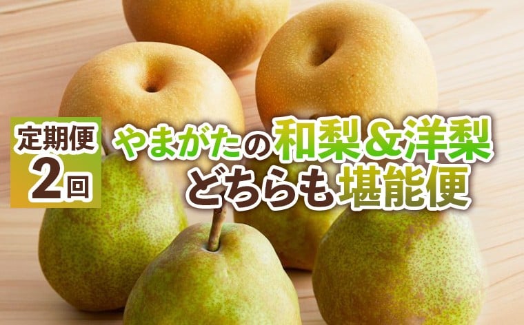 
            【定期便2回】やまがたの和梨＆洋梨どちらも堪能便【令和8年産先行予約】FS25-138
          