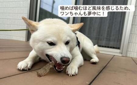 【6袋】ペット用シカ皮おやつ ワンチュウ 1袋20g ｜ 犬 犬用おやつ  犬 犬用おやつ 犬 犬用おやつ 犬 犬用おやつ 犬 犬用おやつ埼玉県 草加市